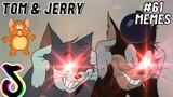 Tom And Jerry | Những Đoạn Phim Hài Hước Trên TikTok #61 | Tom And Jerry TikTok Compilation 😁😁