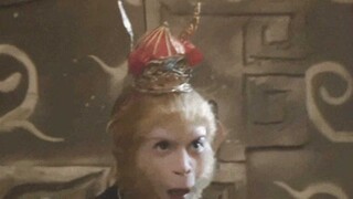 Why don’t the Japanese apologize to Paul Tibbets??