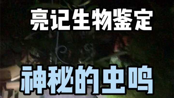 【Liang Ji Identifikasi Biologis】Mengapa di rumah saat musim dingin di Beijing sering muncul ini?