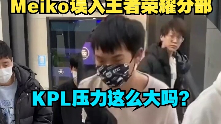 Meiko lạc vào đội Liên Quân Mobile của EDG, Điền Dã xem xong thì sửng sốt: Áp lực tại KPL lớn đến th