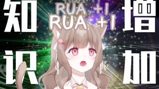 原来RUA是这个意思！【外国猫猫知识增加】