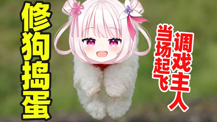 Anjing yang nakal memang benar-benar suka membuat onar!!!