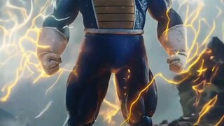 vary Vegeta