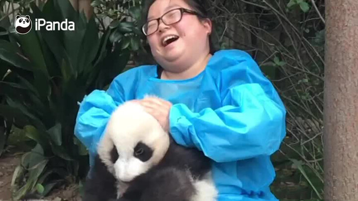 [ANIMAL]Panda's happy life in Panda Research Base
