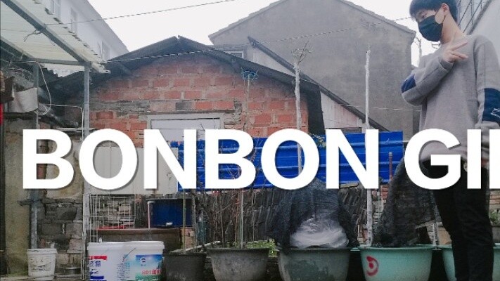 Gu Aguang:) เด็กชายมัธยมปลายเต้นรำเพลง BONBON GIRLS ของ Hard Candy Girls 303