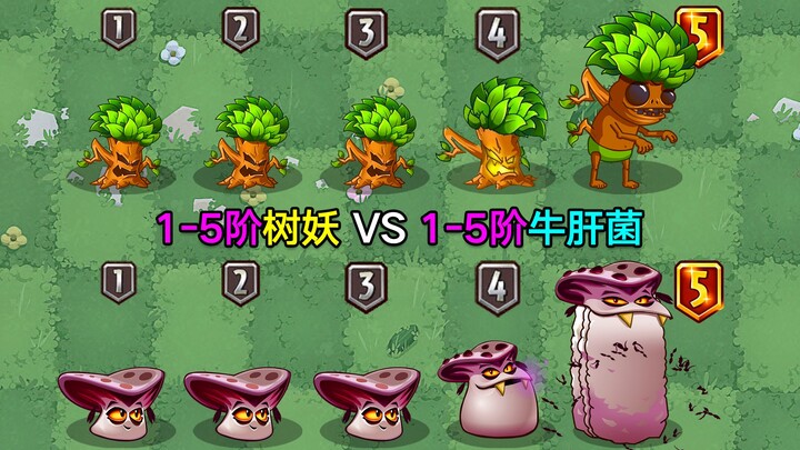 Dryad level 1–5 vs Jamur Babi Level 1–5! Keduanya berperan sebagai tank, mampu melawan zombi dan mem