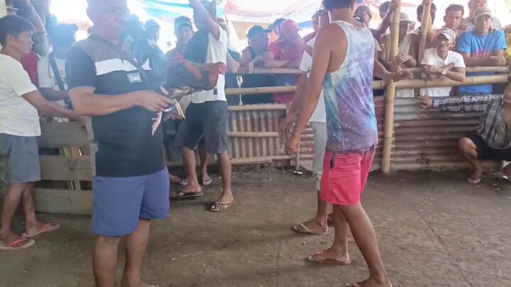 Tupada: Win/Alimbuyugin naunahan na nanalo pa!