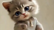 💖💞💕🐾😺