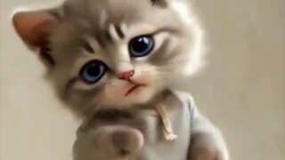💖💞💕🐾😺
