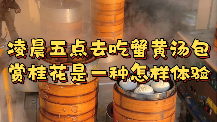 What’s it like to head out at five in the morning for crab‑roast soup dumplings and to admire osmant