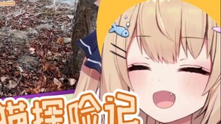 【Seven Minutes to Watch Cats】Cat Expedition Team