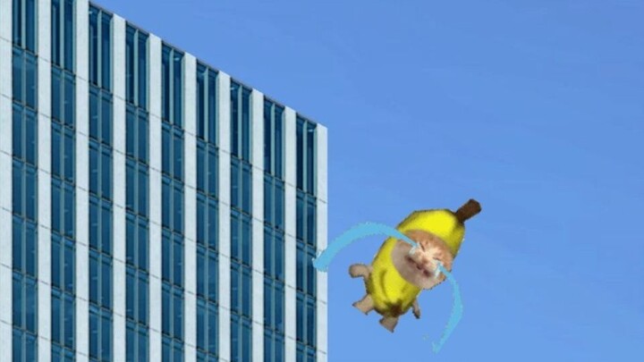 Kucing Pisang Tersandung dan Jatuh dari Gedung!