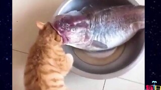 【Daily Awkward Moment】I've never seen a girl-flirting method like this before! The girl's eyes almos