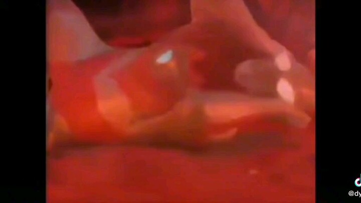 Super Idol VS Siêu Nhân