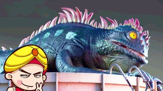 【Tang Tang】Thằn lằn đột biến quậy tung tiệc sinh nhật đại gia, chê bai hài hước bộ phim mới nhất "Th