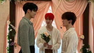 【seventeen】次人的一些经典永流传