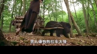 狗狗为报救命之恩，竟主动给男孩当起了车夫 "高分电影  "狗狗  "义犬报恩