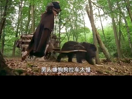 เจ้าตูบตอบแทนบุญคุณช่วยชีวิต ถึงกับอาสาเป็นคนขับรถให้เด็กชายเอง "ภาพยนตร์คะแนนสูง 'เจ้าตูบ' สุนัขผู้