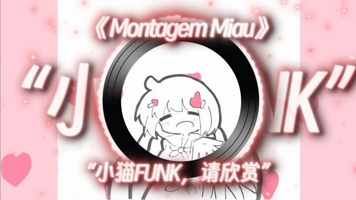 【Kitty FUNK】| “Montagem Miau” | “A Little Kitty FUNK Tune—Enjoy, ‘Kitty’!”