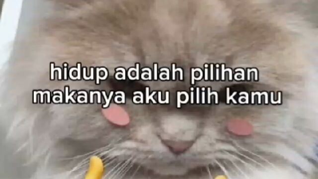 itu