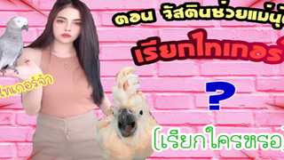 ตอน จัสตินช่วยแม่เรียกน้องไทเกอร์ แต่ไทเกอร์จะมาหาไหมน๊าาาา