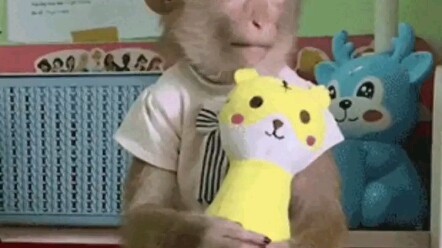 Quân sư, tôi biết rồi, chó quân dụng có tác dụng gì?