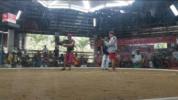 1st fyt win 3hits ulutan  Gallera De Balete