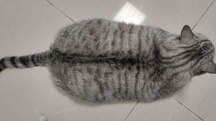 Ayah: Kalau kamu berani mengantarnya pulang, ayah akan mematahkan kakimu!