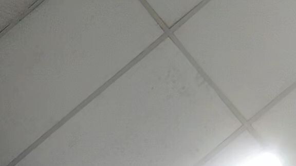 fgh