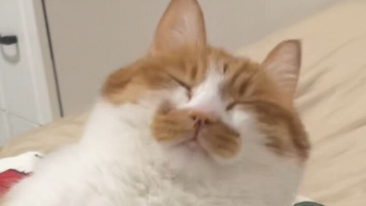 Mom, something just shook me!