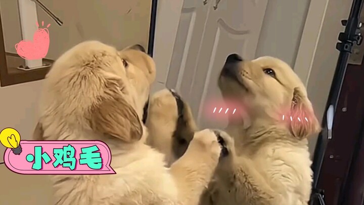I could kiss a little fluff like this to death in one go.