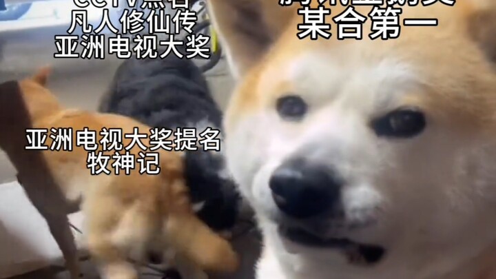 Don’t fight, everyone—Fanan and Xianzhi are both amazing Chinese animated series!