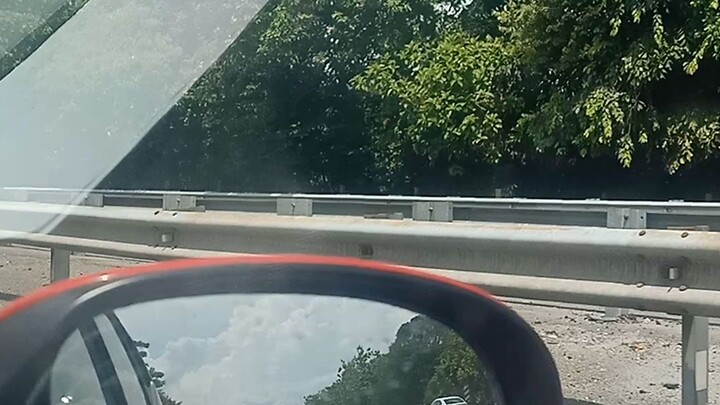 Kepompong jadi rama-rama