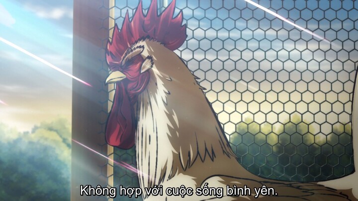 Niwatori Fighter - 01 vietsub