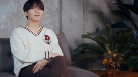 Nhắc đến SEVENTEEN thì không thể chỉ nói đến hoa tươi và những tràng pháo tay