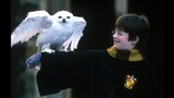 Hedwig's Theme BACKWARDS - Harry potter