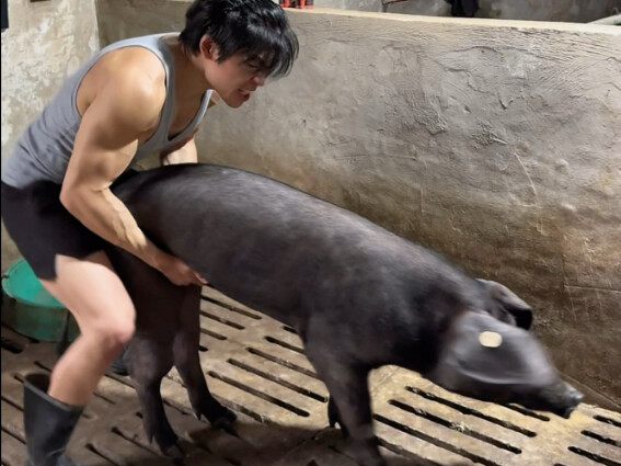 Day 42 of Fitness and Fat Loss with Pig (Rest Day + Cheat Meal)