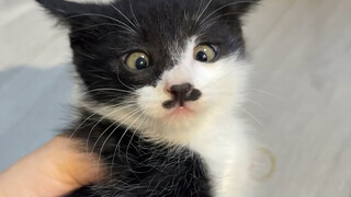 ฉันคิดว่าบ้านหลังนี้อาจไม่สงบสุขได้ง่ายๆ ในอนาคต