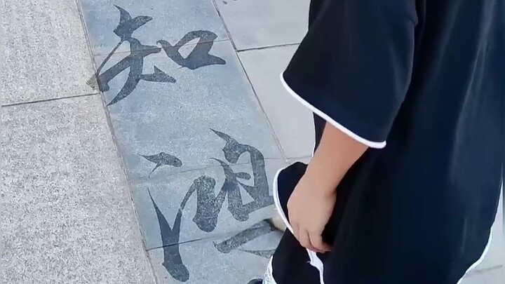 燕雀安知鸿鹄之志