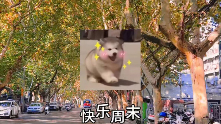 Happy weekend, here I come!!!! Baby, stick around till the end! Hehe!