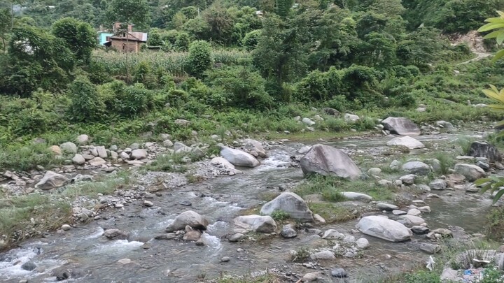 nature