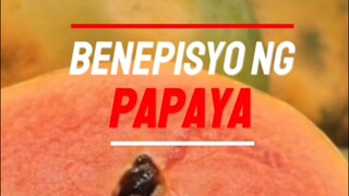 Mga Benepisyo sa katawan ng pagkain ng papaya #benefitsofpapaya #papaya #Healthbenefitsofpapaya #edu