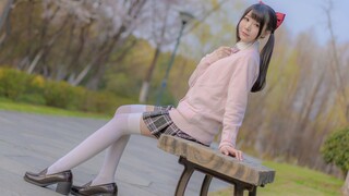 【芸喵】Summertime☀带你去看樱花前线【波澜映像】
