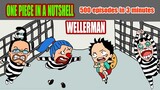 Wellerman - One Piece in a nutshell (500episodes in 3minutes)
