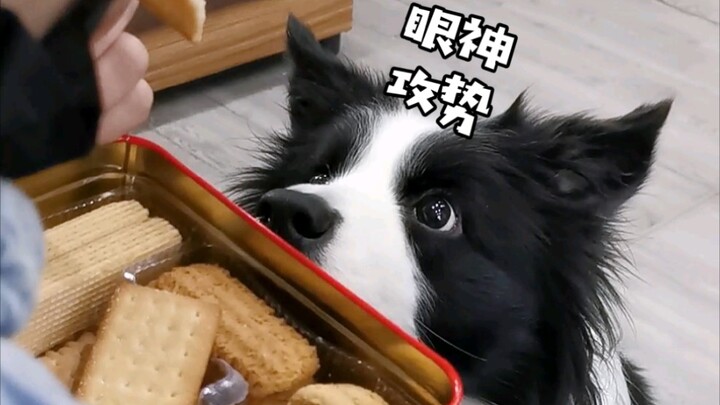 Mau kasih dia sepotong nggak?