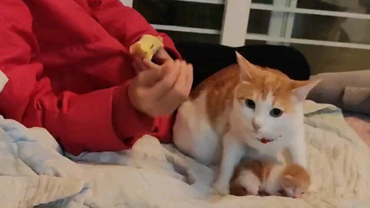 原来一孕傻三年是真的！