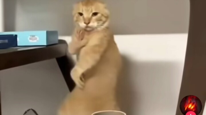 An octogenarian’s video was shared overseas and garnered a million likes.