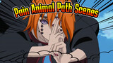 Pain Animal Path Scenes
