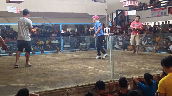 march 1 2hits 2nd entry win 1st fight