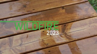 Wildfire Day 2